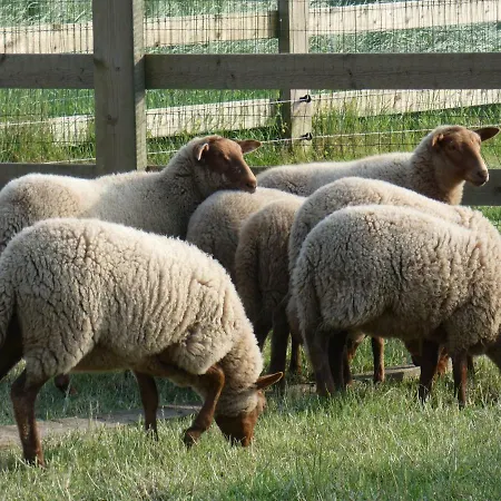 Vakantiehuis Vakantiehoeve 't Goed Ter Leeuwen De Haan